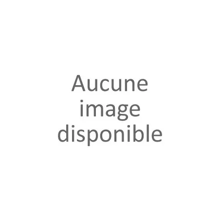 Espadrilles marine/blanc homme (40-46)